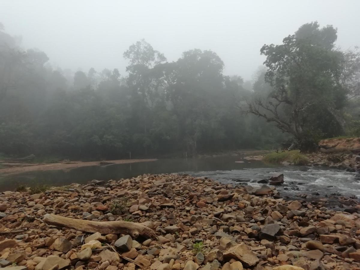 Coorg River Rock Camping Madikeri Esterno foto